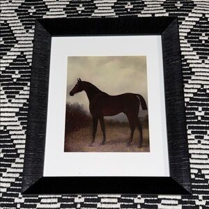 11”X14” horse print in black frame